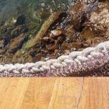 1000 de chipuri Nourriture