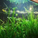 Pizza Marina Extérieur