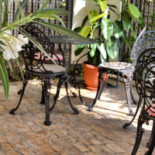 Gato Noble Extérieur