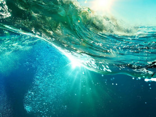 Sc Veress Pensiunea Elisabeta