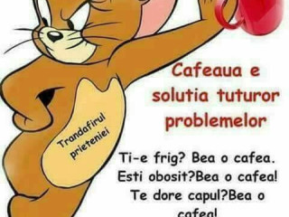 Betty Coffee To Go Colentina