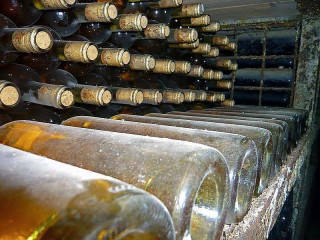 Old Wines Uk