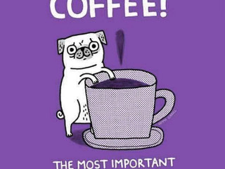 Daily Coffee Cup