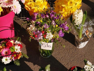 Market Ion Mihalache