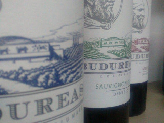 Romanian Wine Cellar Quality