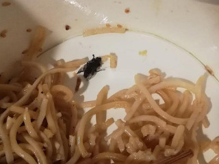Noodle Pack
