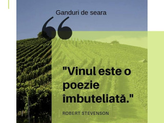 Magazinul Tau De Vinuri