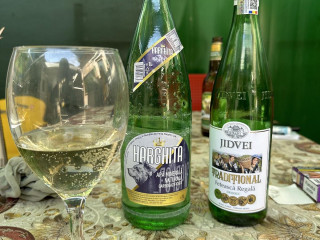 Fane Găină