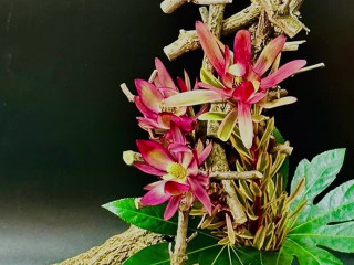 Ingrid Line Deco Artist Name Fēng Xī Fuyu Evening Breeze)