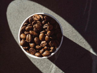 Sapiens Coffee Shop