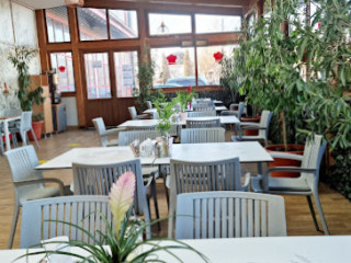 Autoservirea Andreea Meniul Zilei, Mancare Gatita, Fast Food Bragadiru. Botez, Parastas Bragadiru