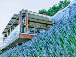 Rivo Restaurant & Lounge