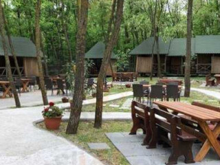 Floarea Salcamului Popas Hanu Conachi