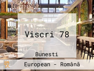 Viscri 78