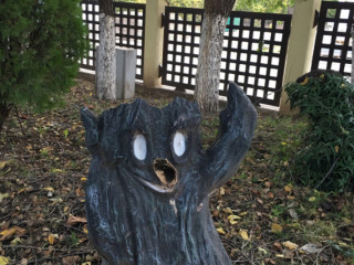 Padurea Verde Restaurant