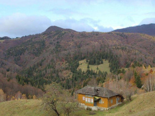 Pensiunea Dealul Sasului