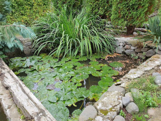 Watermill Pension And Trout