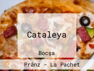 Cataleya