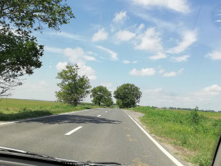 Vasile E. Daniel Intreprindere Individuala