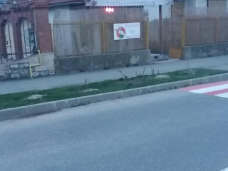 Delicioso Cisnadie