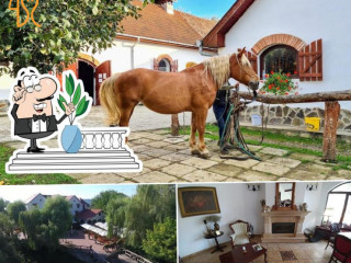 Domeniul Dracula Daneș