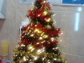 Good Food Alla Stefania